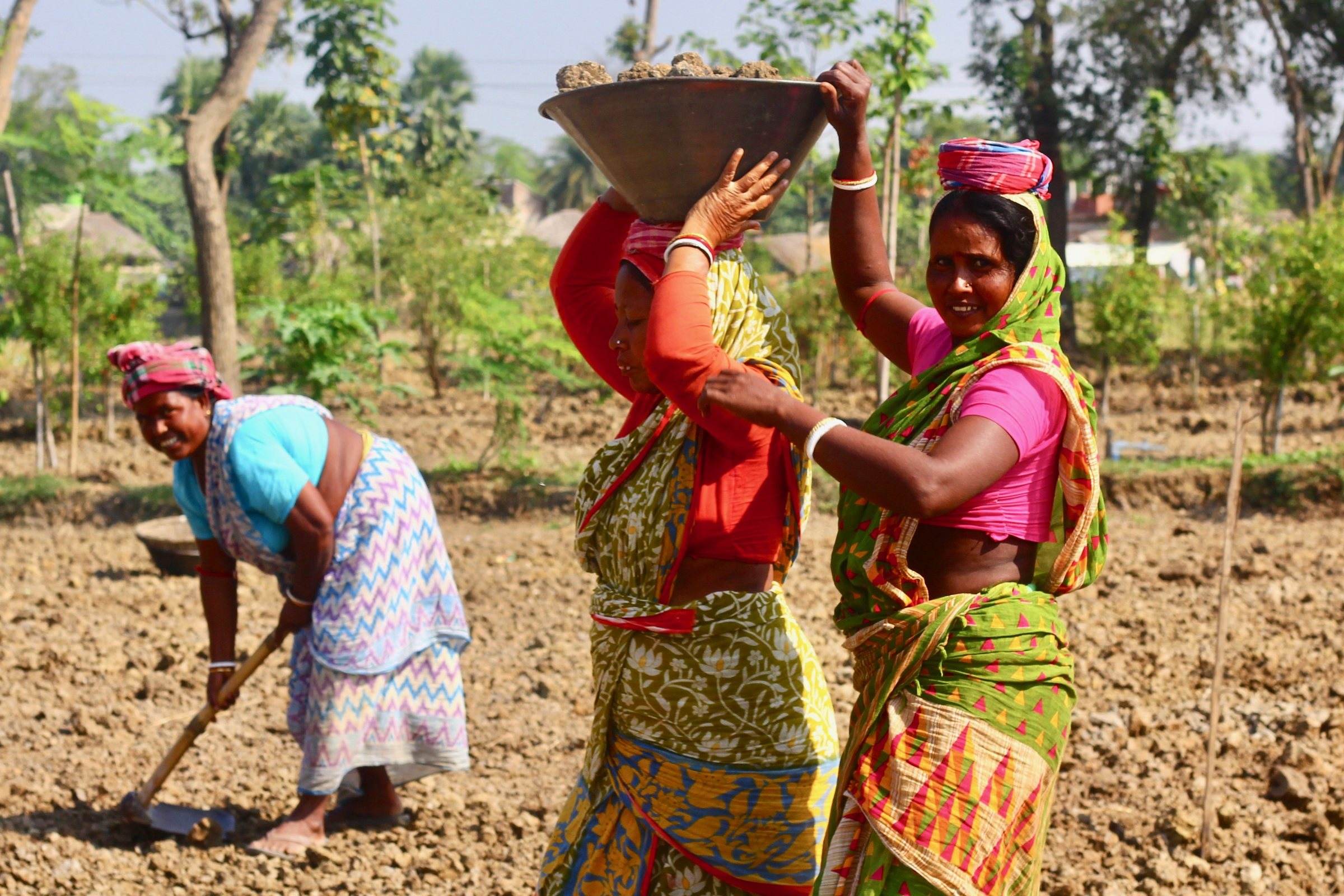 Producer organisations turn harvest activity into useful farm records.