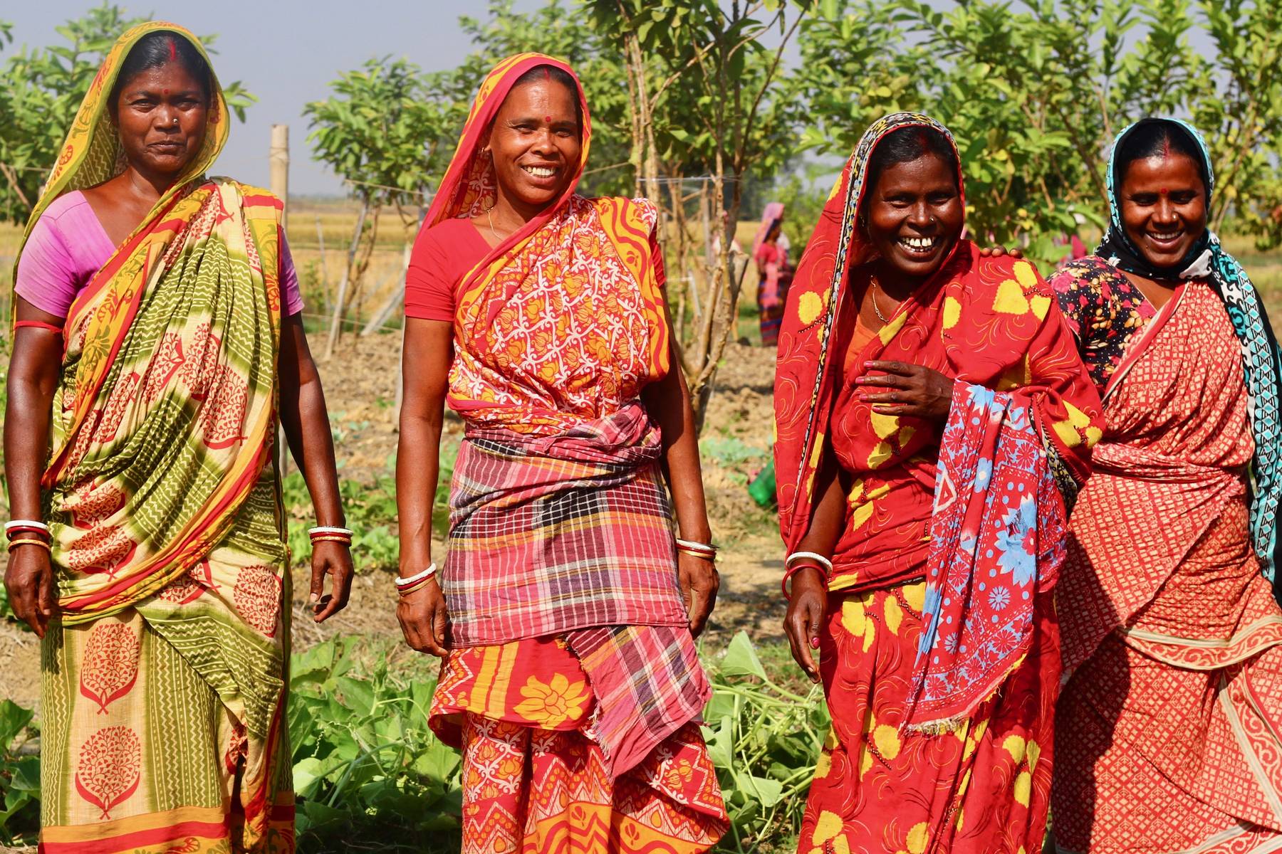 Four smiling women farmers in bright saris standing together in a vegetable field.