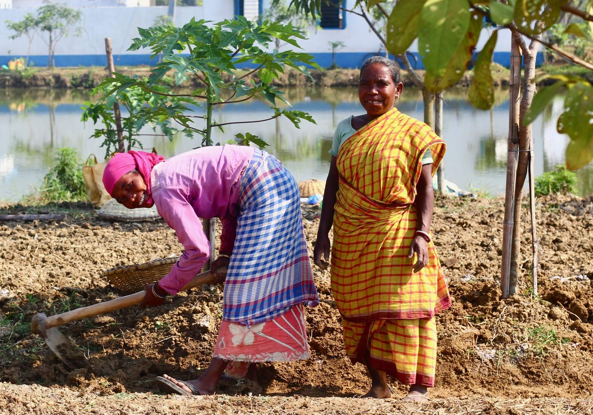 Farmers and field teams building a trusted record together.